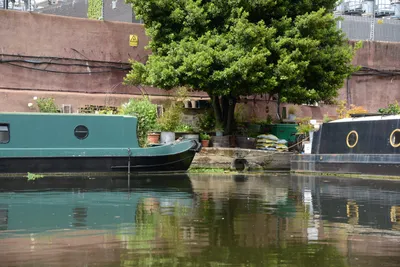 DSC_2753 (Large).JPG